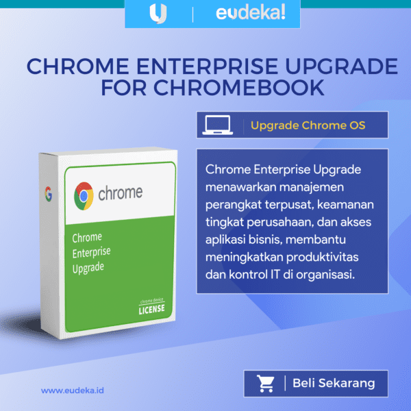 Google Chrome Enterprise Upgrade (CEU/CDM) License